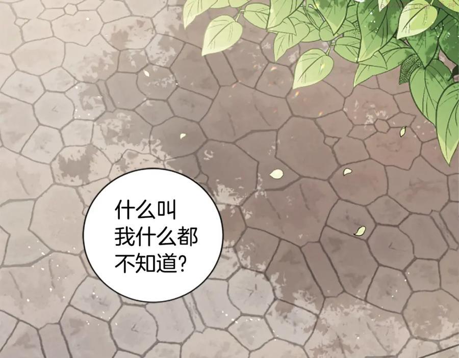 第25话 骑士动心1