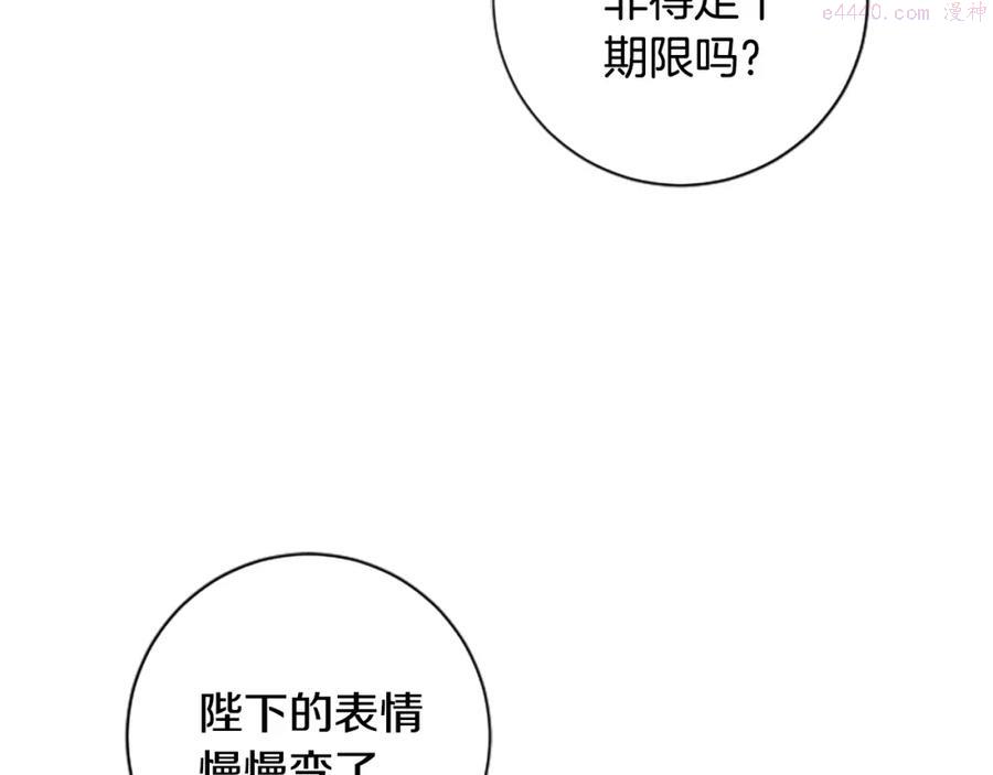 第21话 哪来的花4