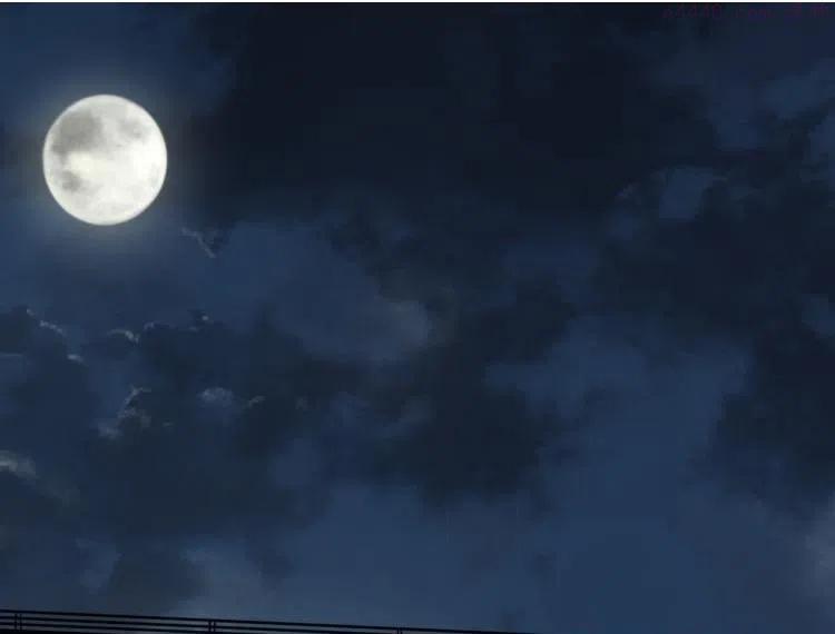 番外 校园传说夜0
