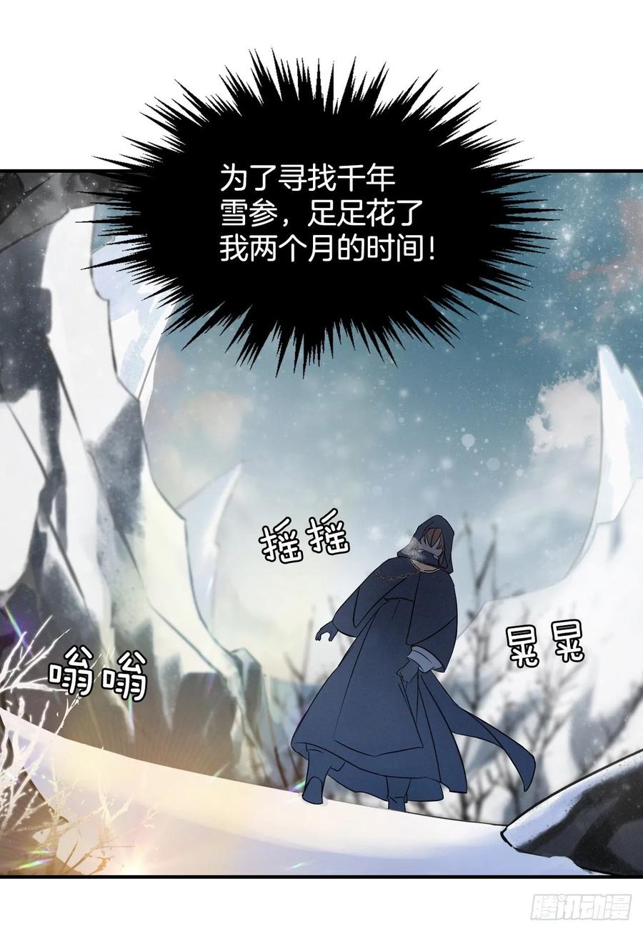 1.千年雪参3