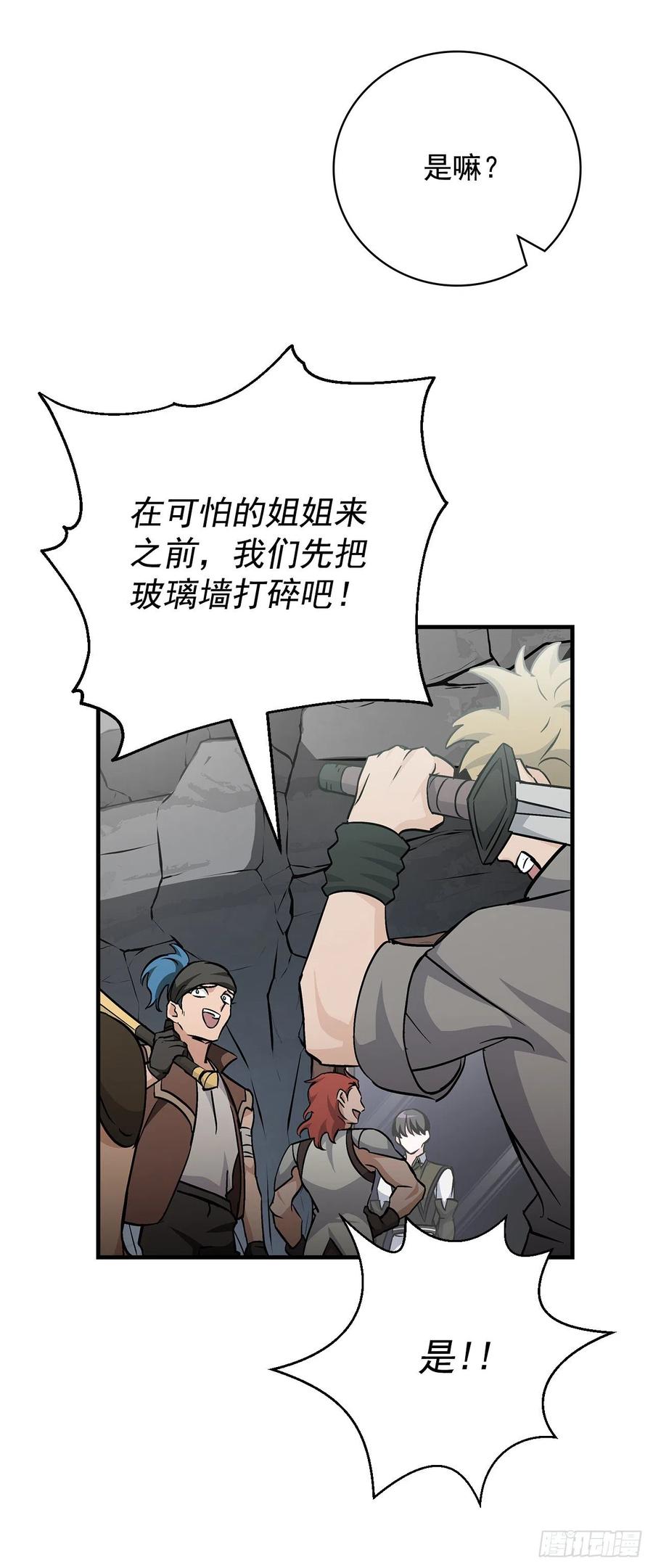 40.巧克力树4