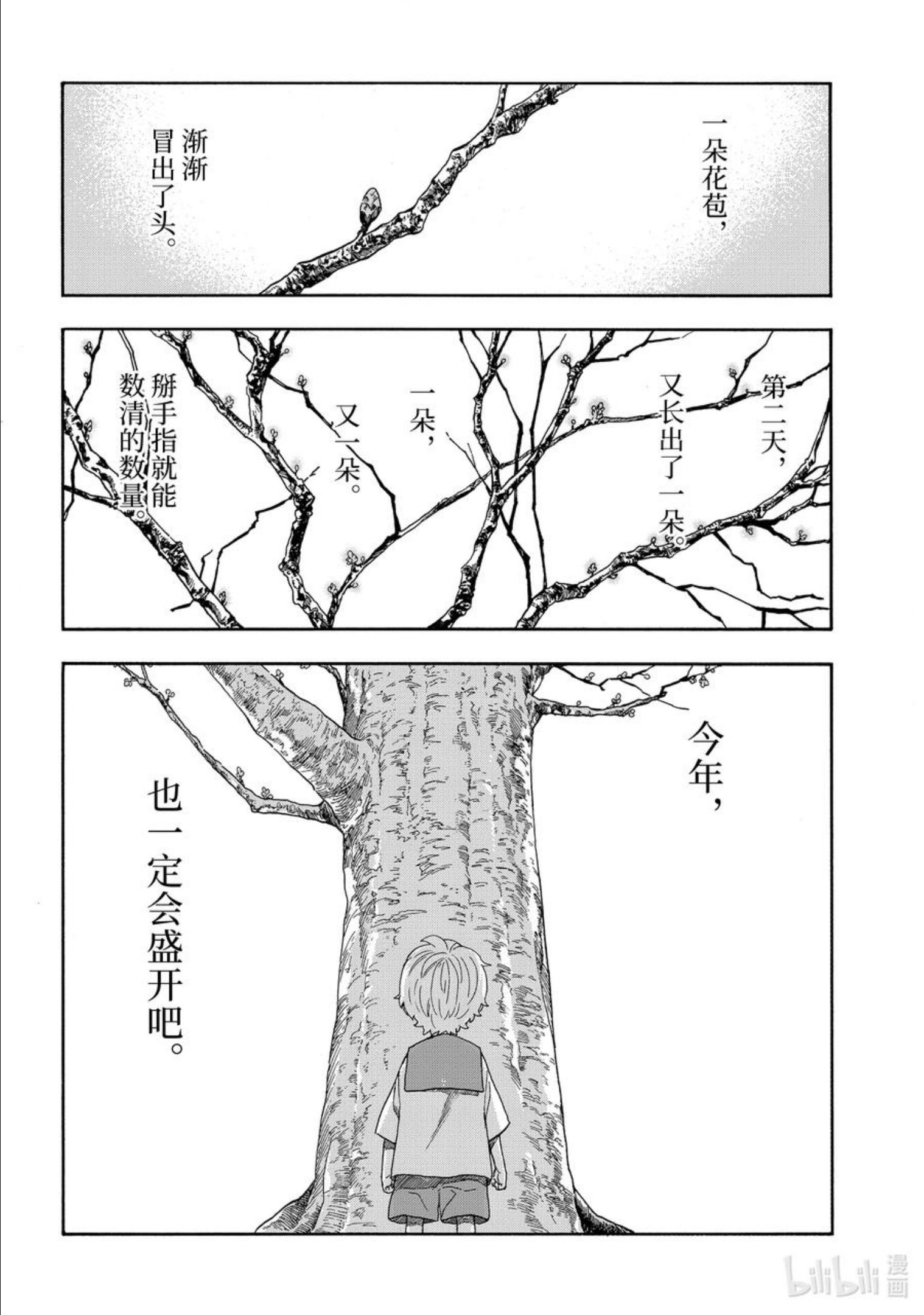 50 爱上樱花的男孩和春天1