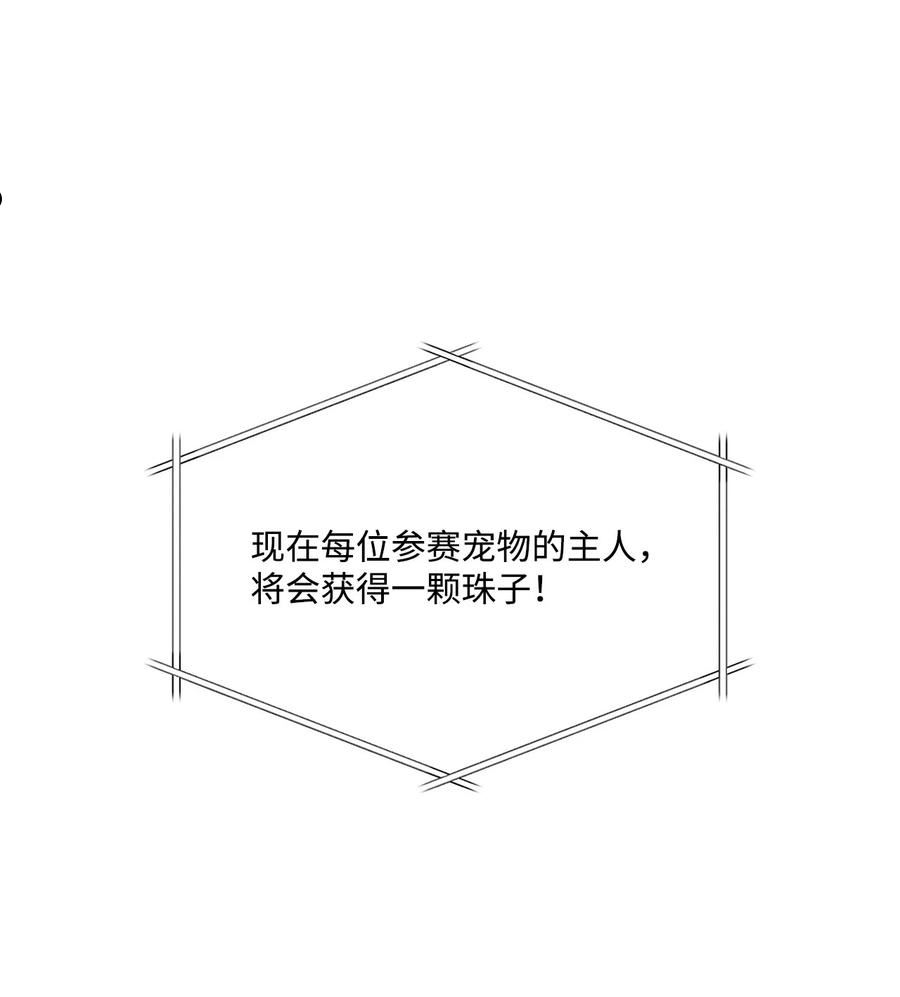 075 宠物大赛2
