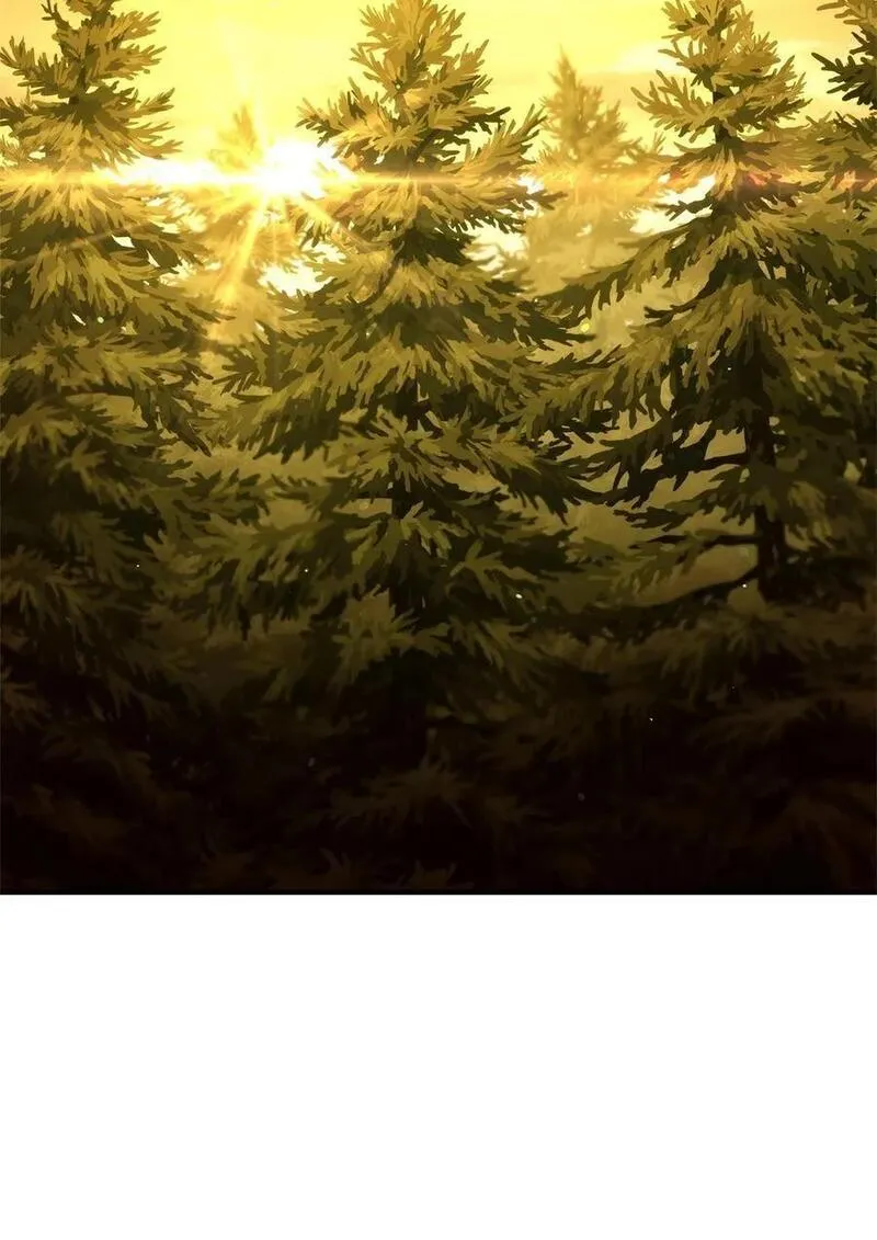 110 套装集齐1