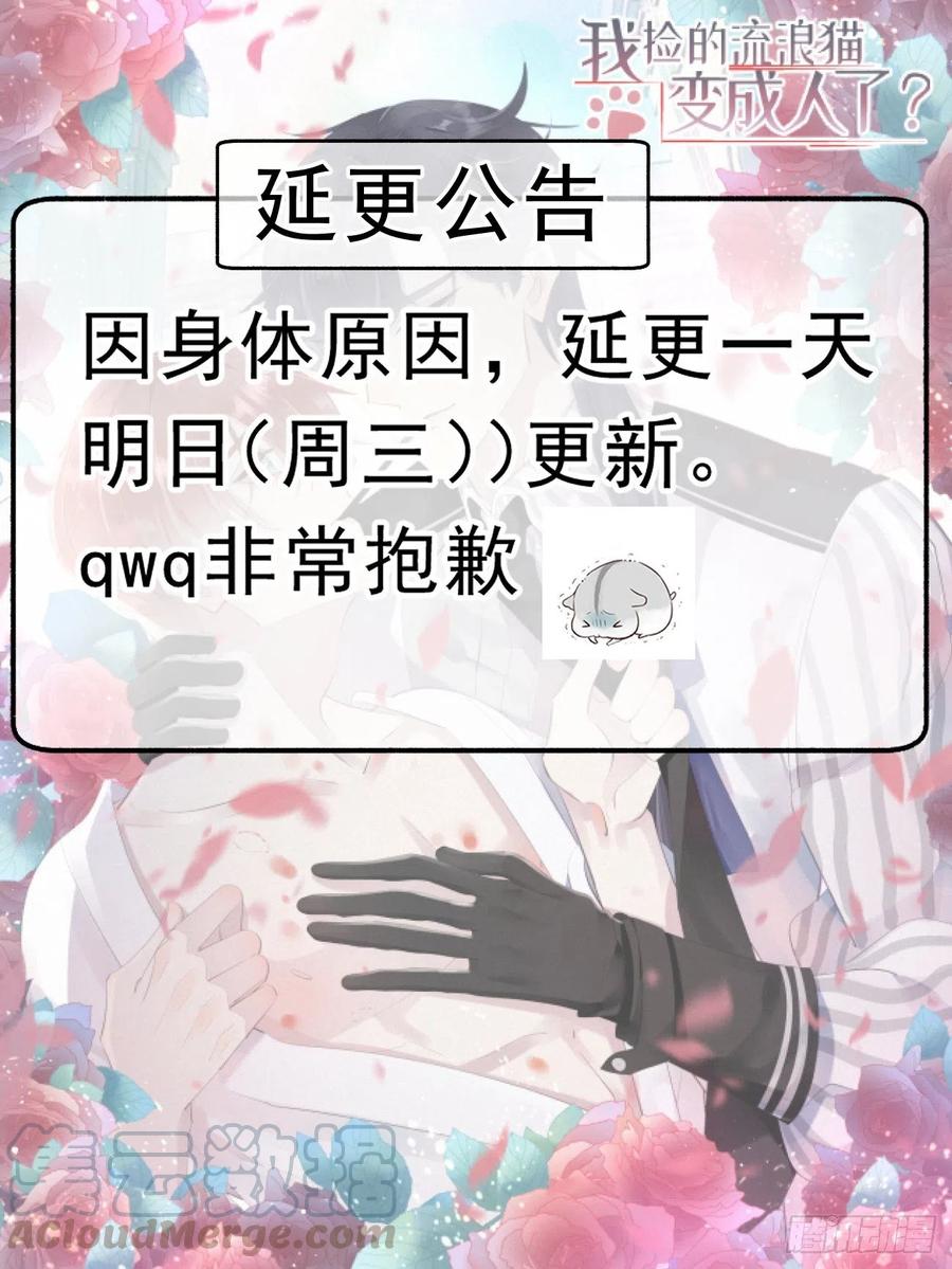 公告 30