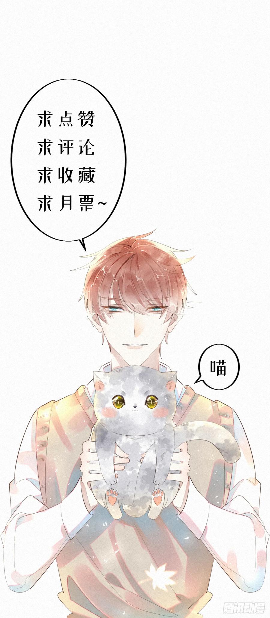 公告4