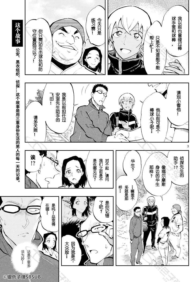 26 米花RICE FLOWERS2