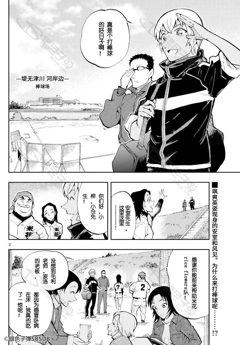 26 米花RICE FLOWERS1