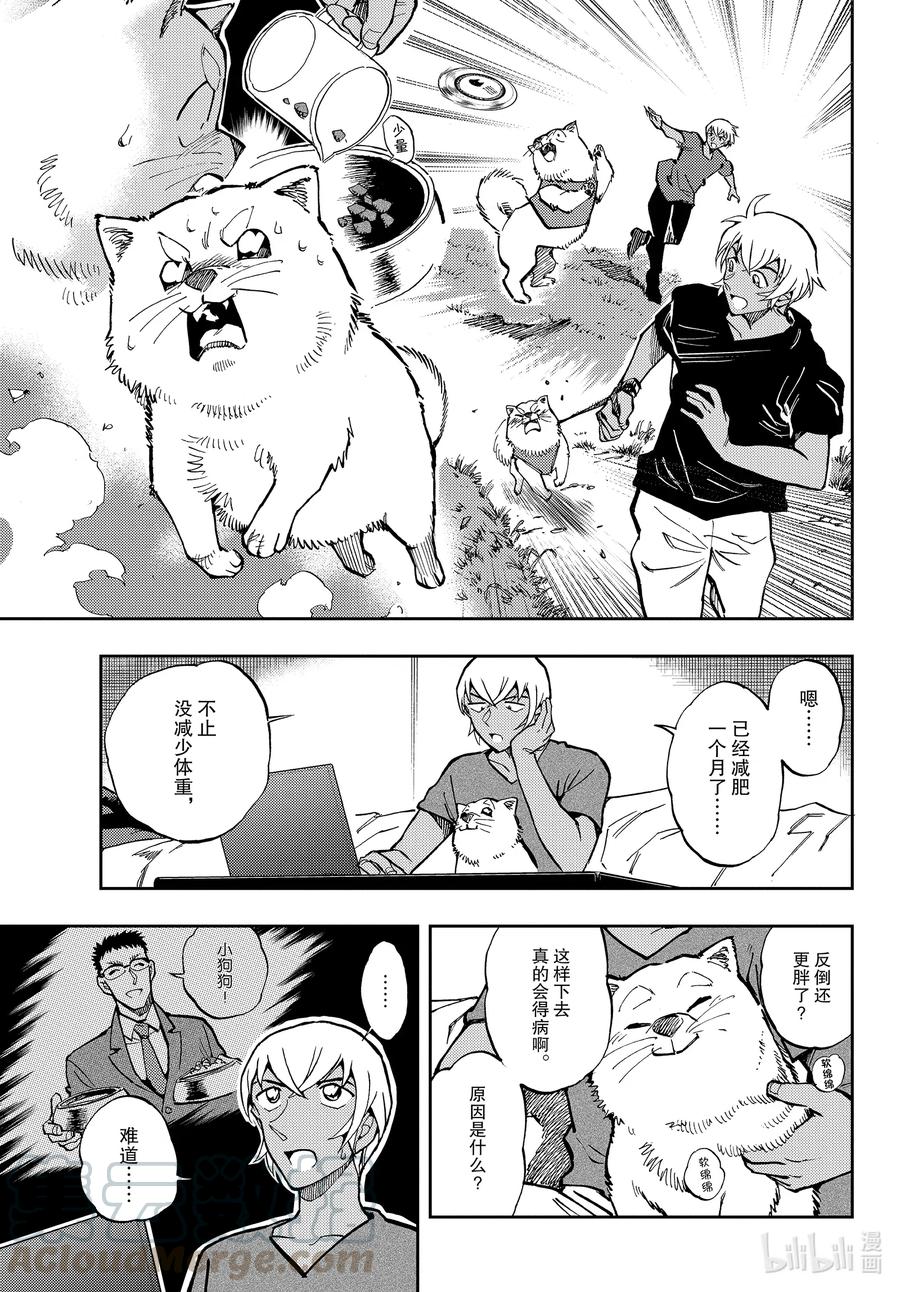 51 原因是什么……？4