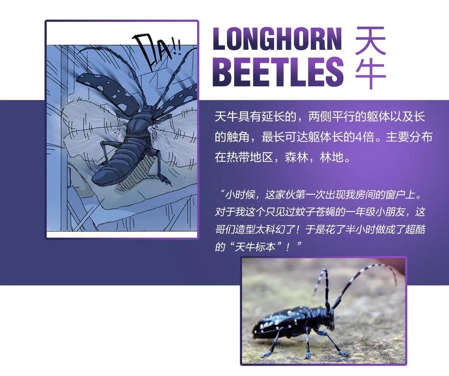 百科 虫男大百科1