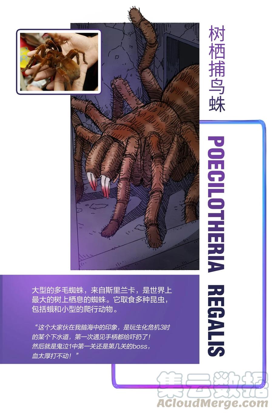 百科 虫男大百科2
