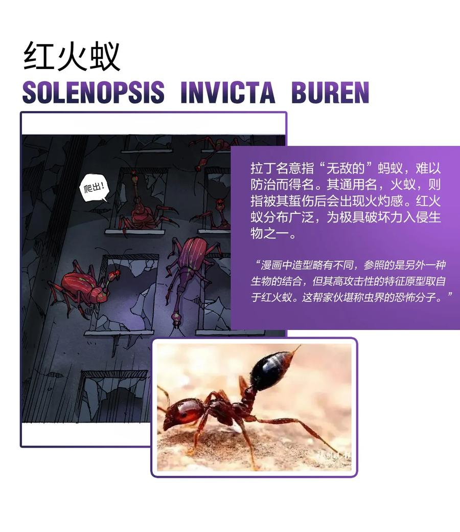 百科 虫男大百科3
