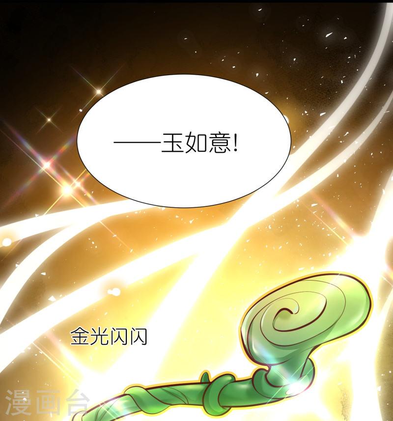 第112话 王家秘宝4