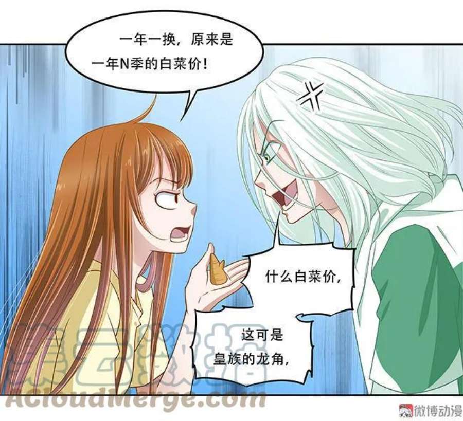 第84话 白菜价龙角4