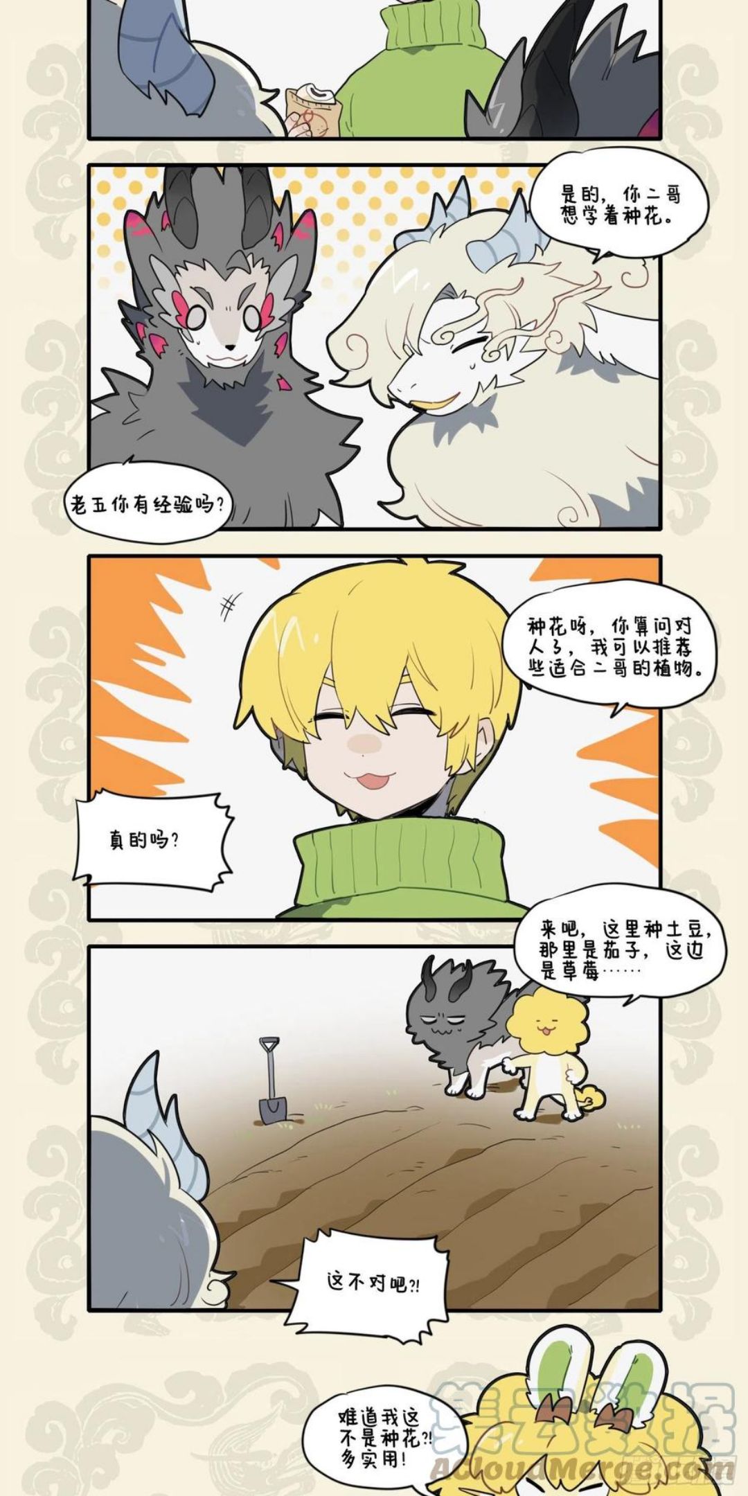 养花寄情 终于果腹2