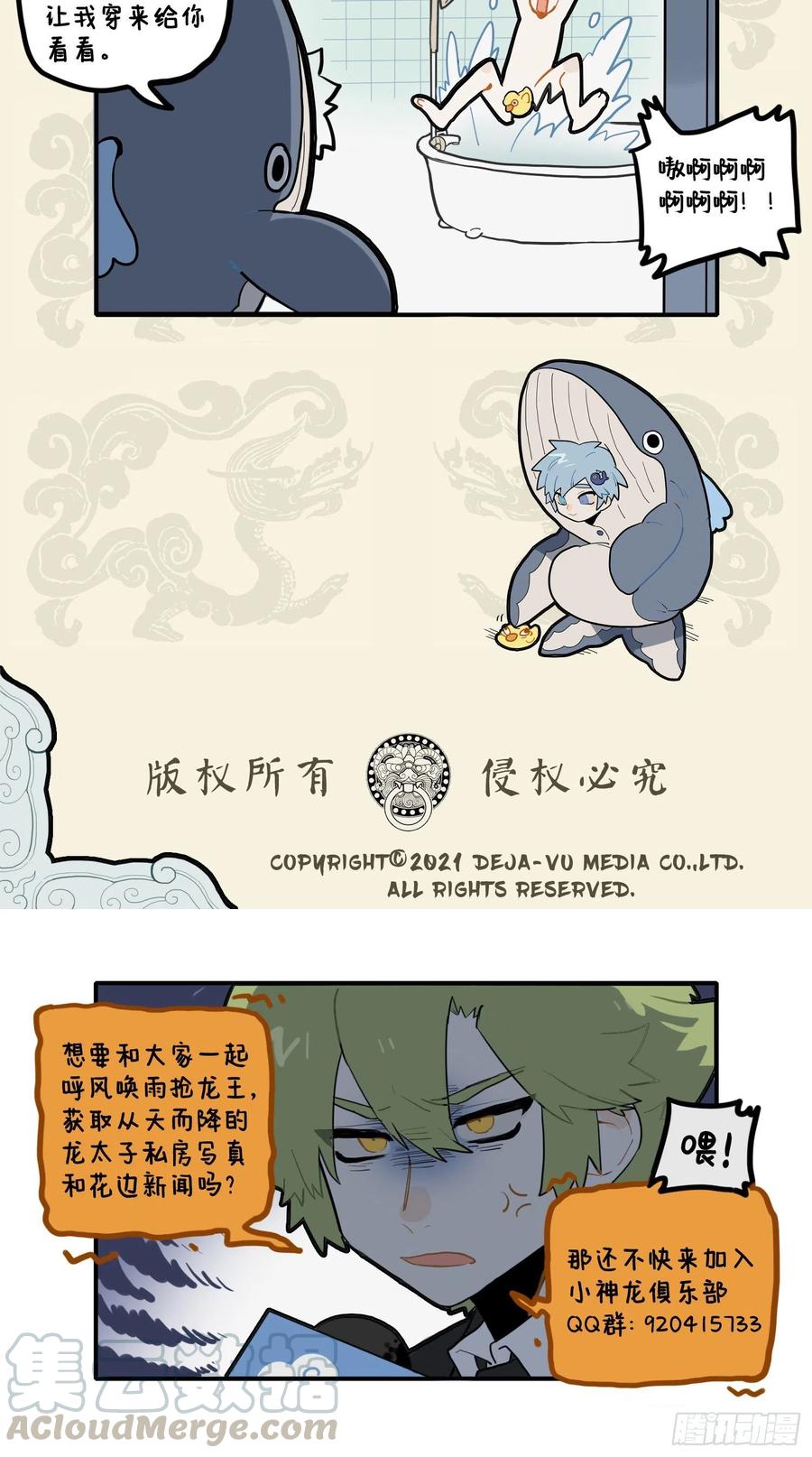 心有猛龙 细嗅蔷薇3