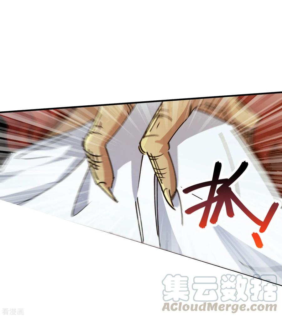 第103话 脚踩南山朱雀4