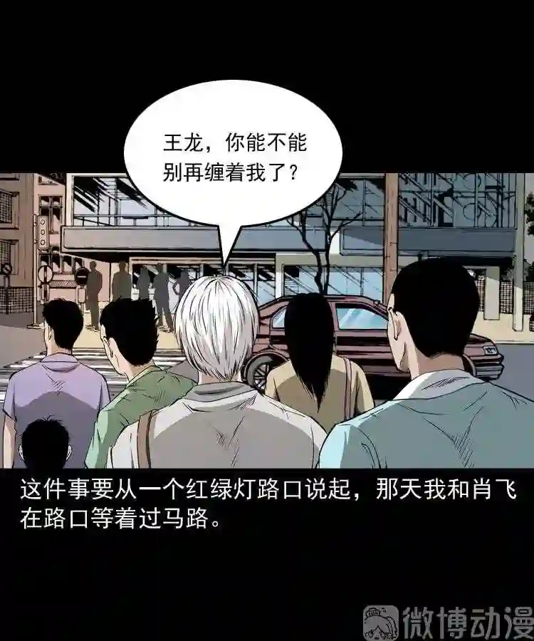 白头翁之恶咒1