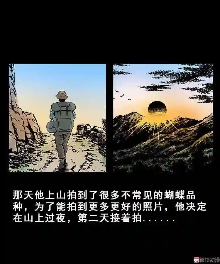 人面獾4