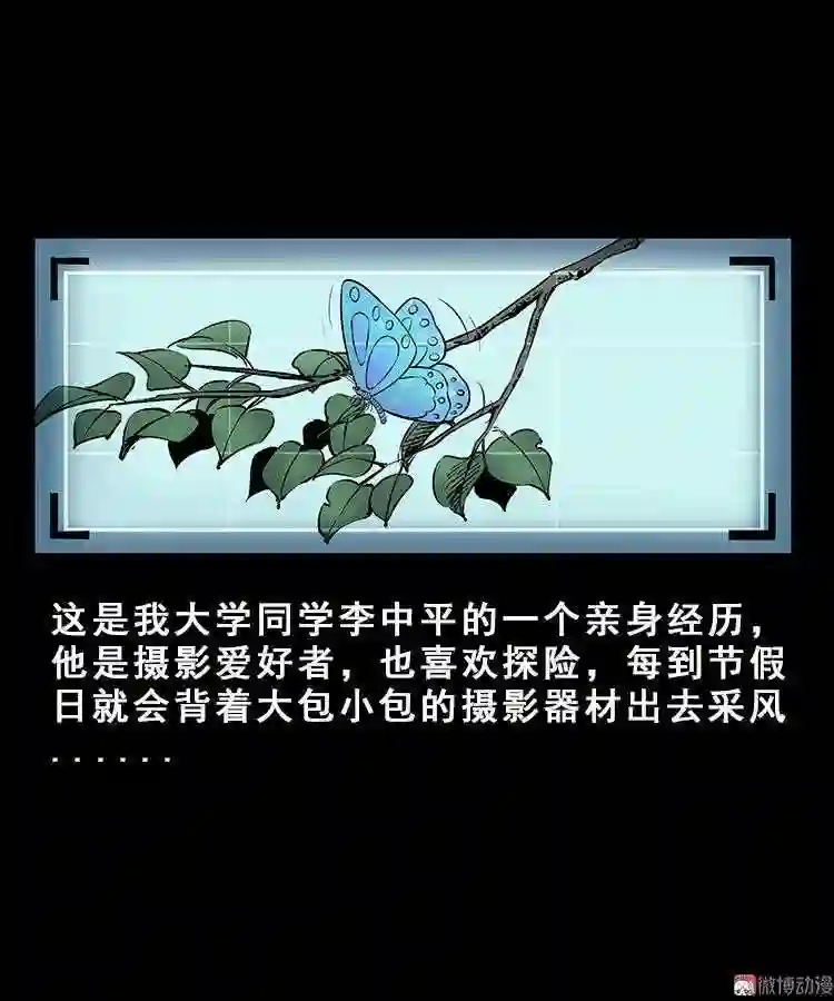 人面獾1