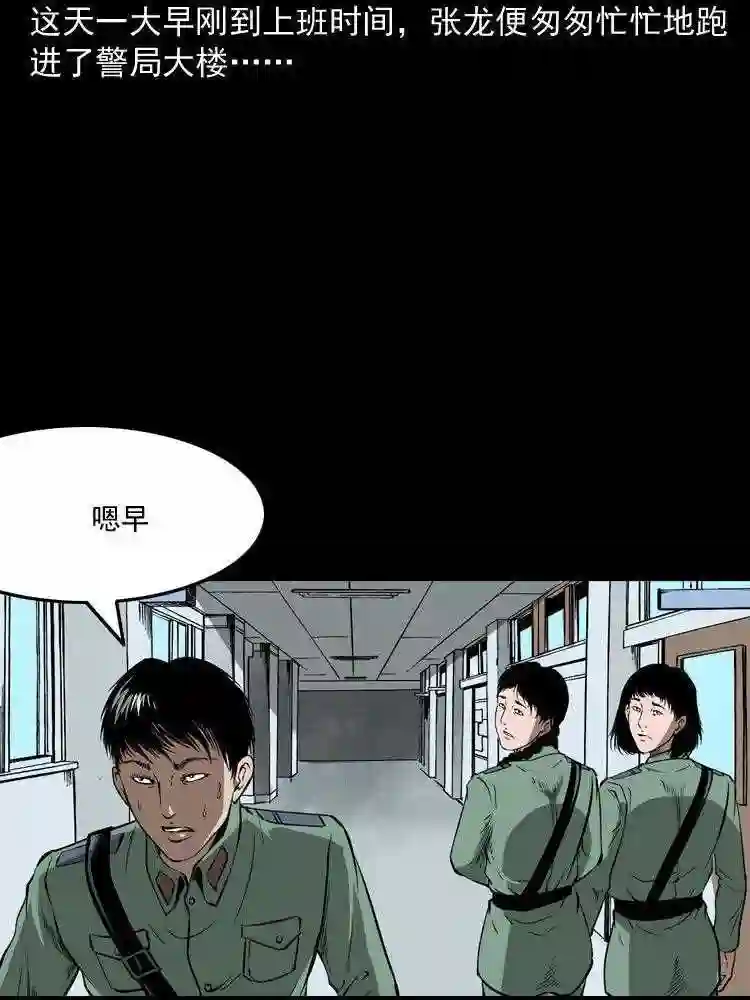 猫老太事件3