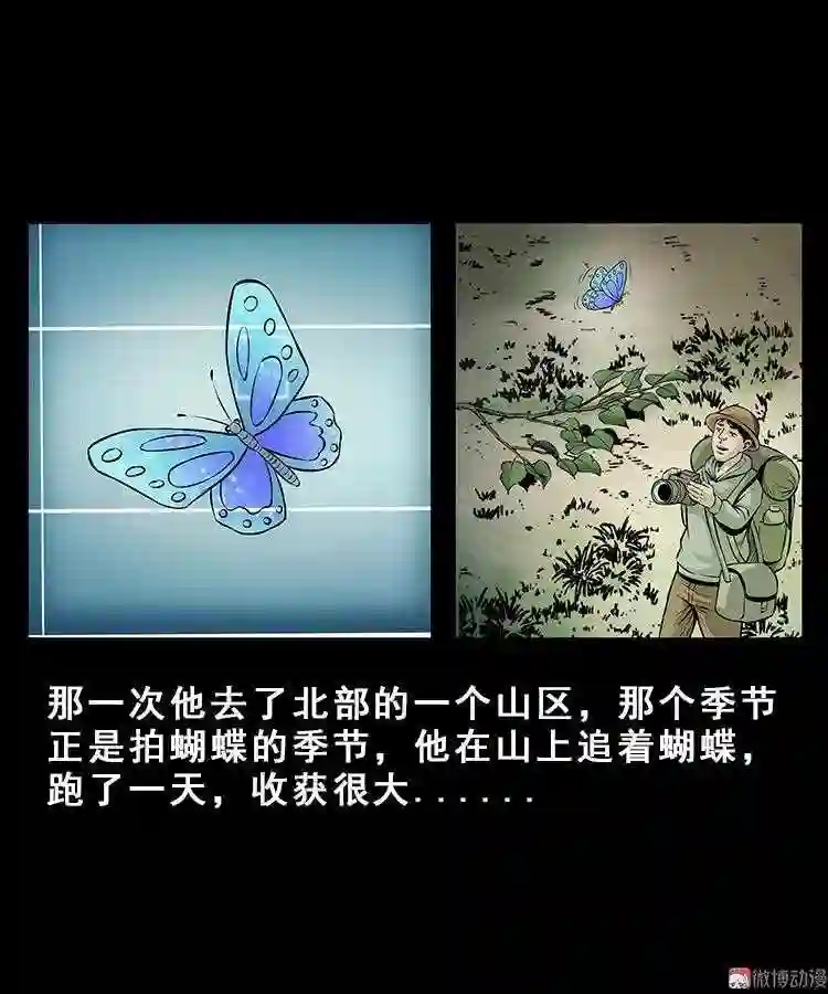 人面獾2