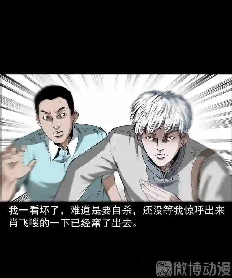 白头翁之恶咒3