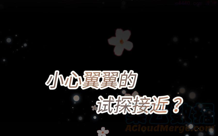新作预告4