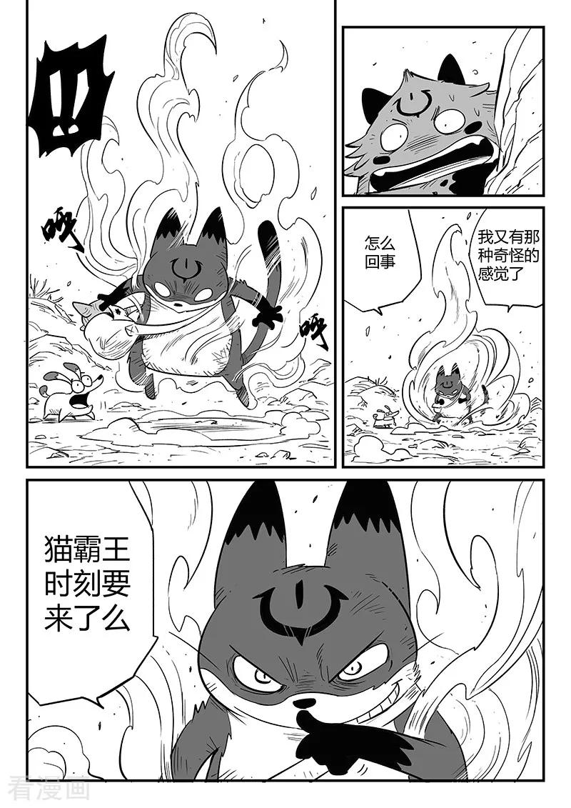 第224话 猫霸王时刻3