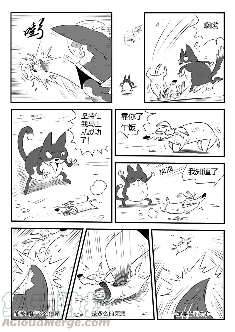 第4话 可靠的伙伴2