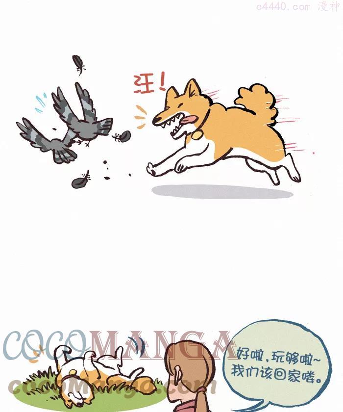 第360话 散步4