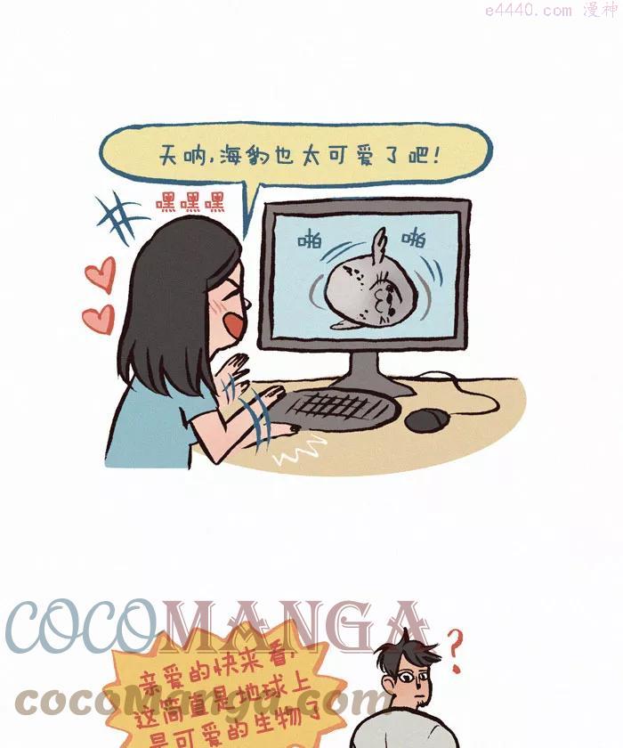 第169话 可爱的海豹2