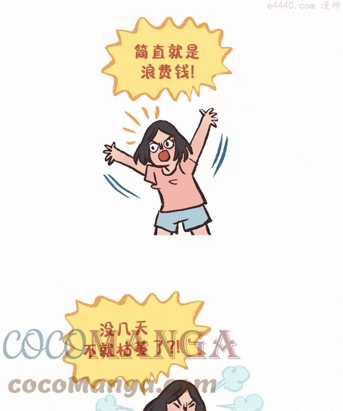 第399话花束4