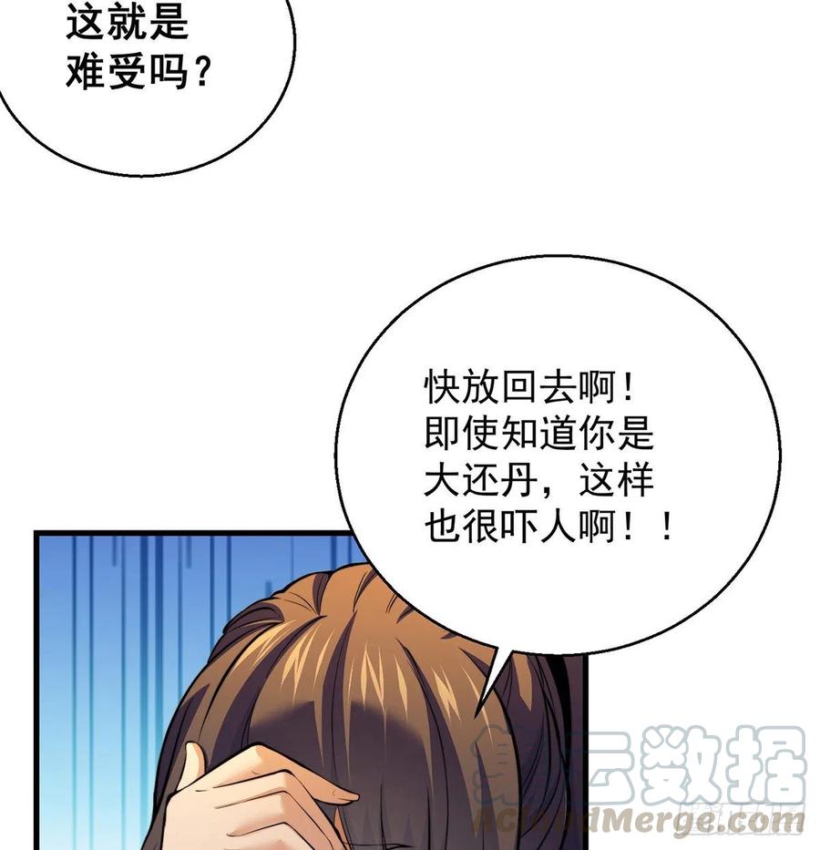大还丹当掌门3