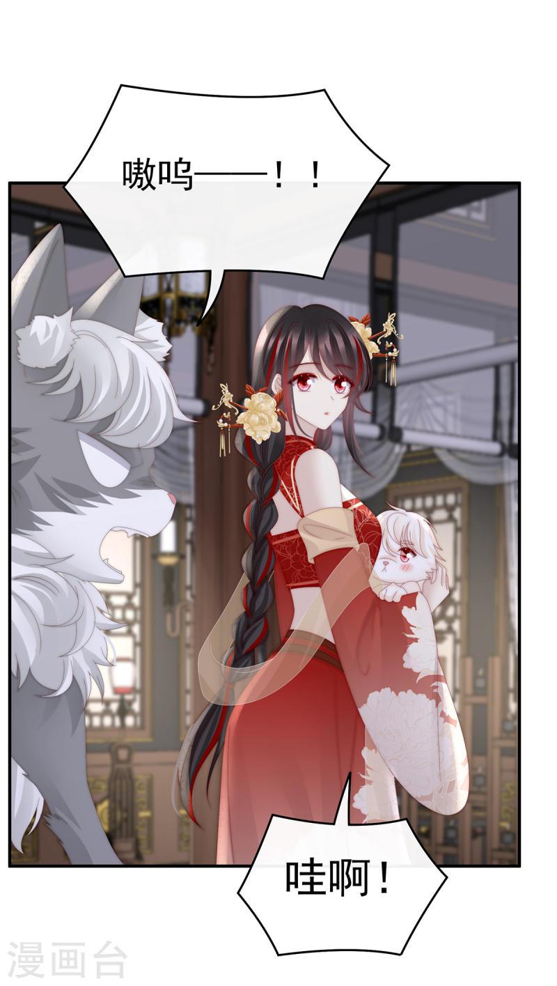 第85话 小动物也争宠？3