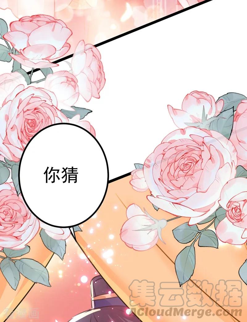 第206话 鸭子浮绿水0
