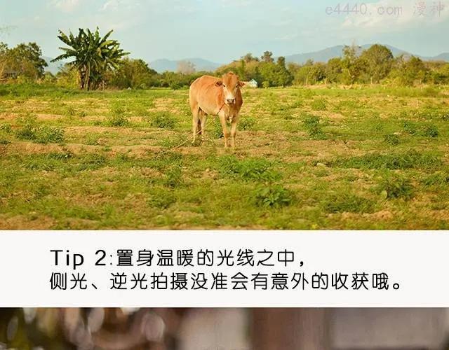 第3期 旅行照POSE part2 _ 王义博1