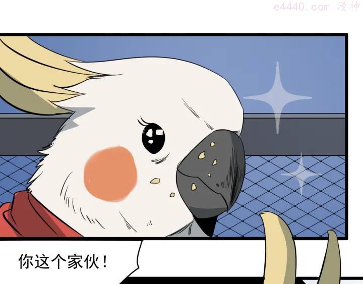第39话 训练赛3