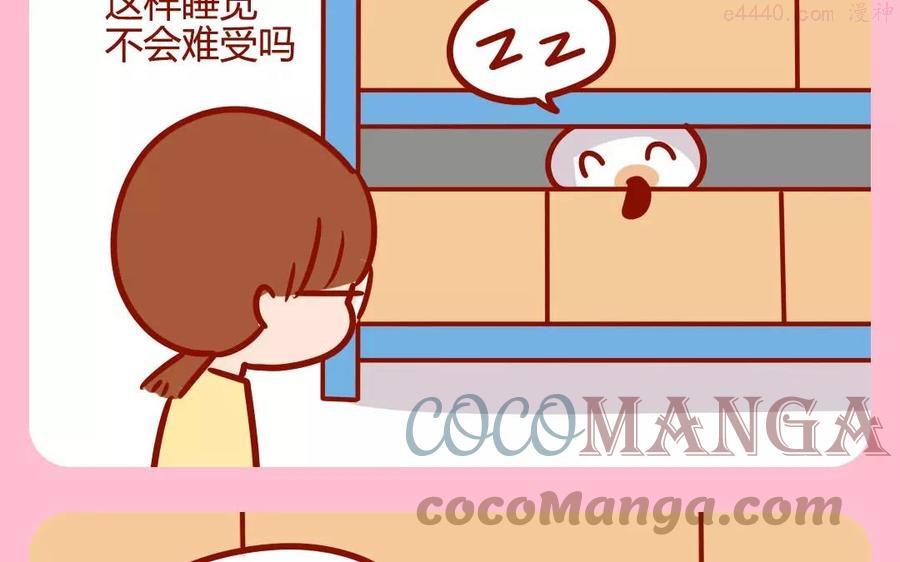 第168话 夹缝猫2