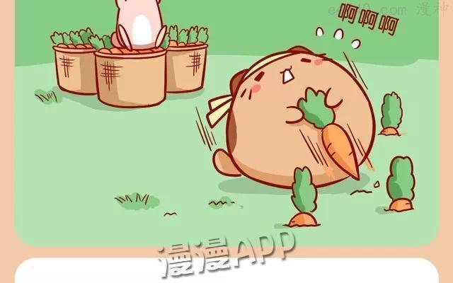 No39 肥胖的肥喵3