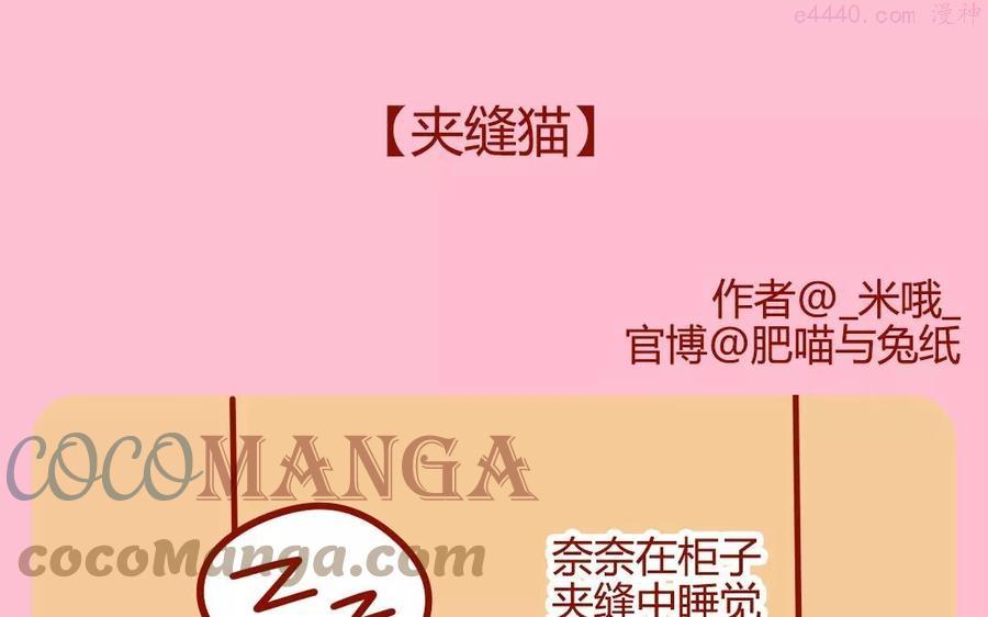 第168话 夹缝猫0