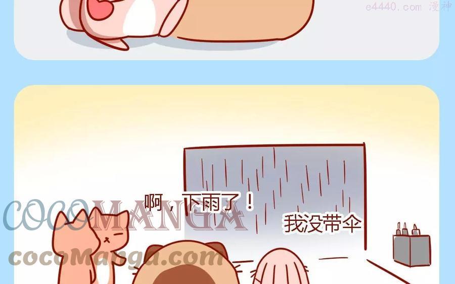 第173话 买鸡蛋4