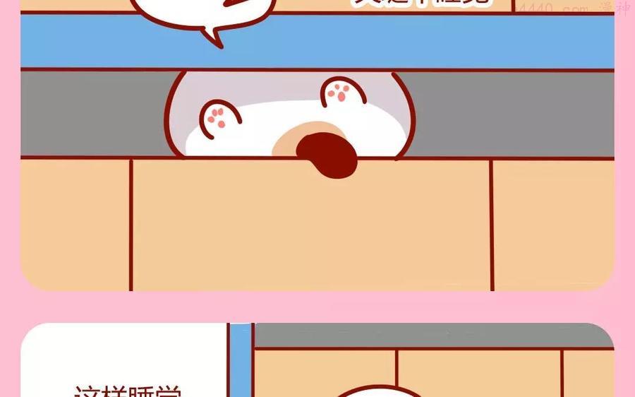 第168话 夹缝猫1