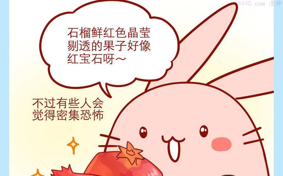 第228话 石榴籽1