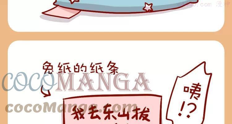 No33 今天肥喵看家4