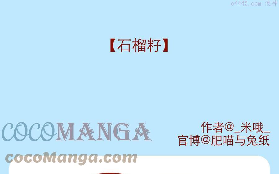 第228话 石榴籽0