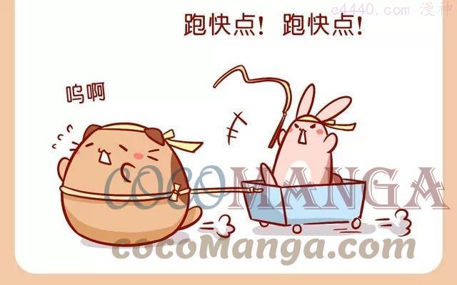 No39 肥胖的肥喵4