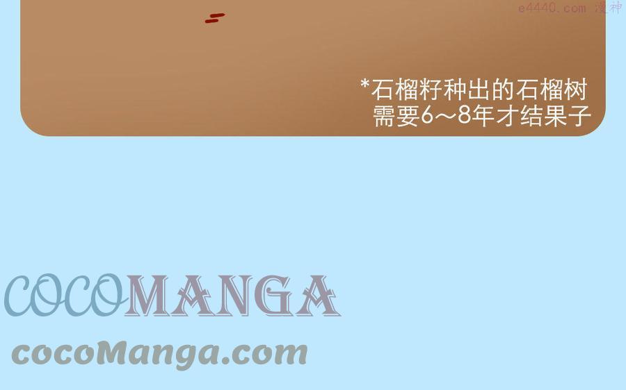 第228话 石榴籽4