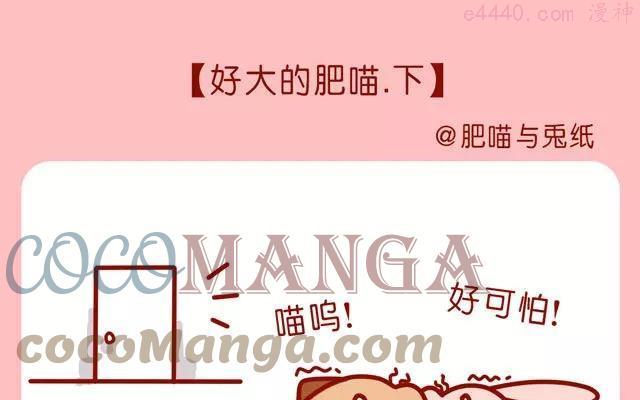 第65话 好大的肥喵下0