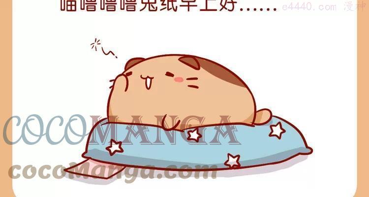 No33 今天肥喵看家2